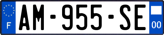AM-955-SE