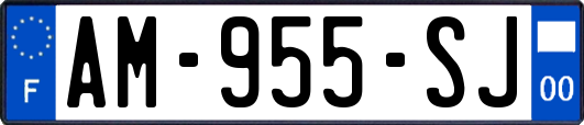 AM-955-SJ