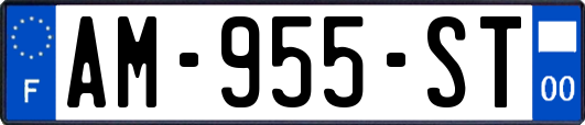 AM-955-ST