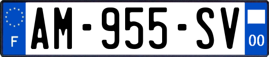 AM-955-SV
