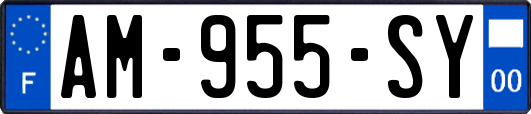 AM-955-SY