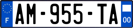 AM-955-TA