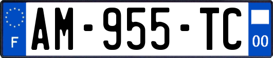AM-955-TC