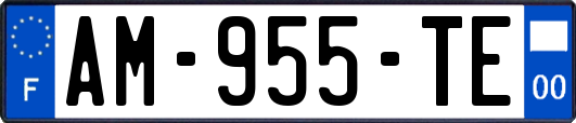 AM-955-TE