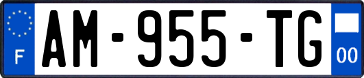AM-955-TG