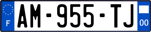 AM-955-TJ