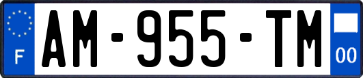 AM-955-TM