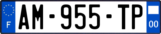 AM-955-TP