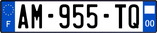 AM-955-TQ