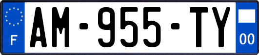 AM-955-TY