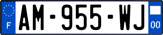 AM-955-WJ