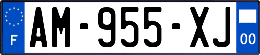 AM-955-XJ