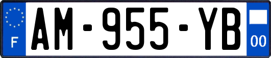 AM-955-YB