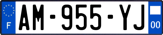 AM-955-YJ