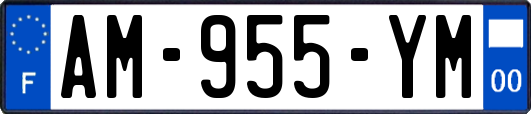 AM-955-YM