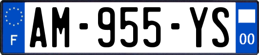 AM-955-YS