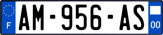 AM-956-AS