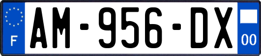 AM-956-DX