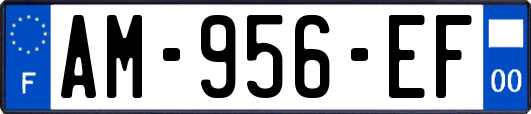 AM-956-EF