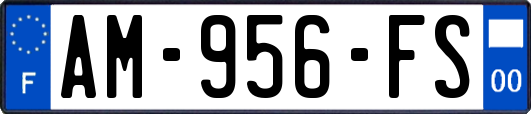 AM-956-FS