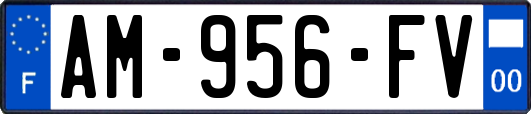 AM-956-FV