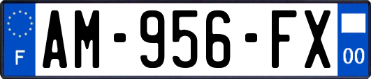 AM-956-FX