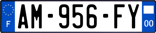 AM-956-FY
