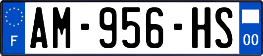 AM-956-HS