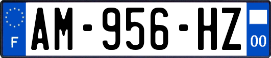 AM-956-HZ