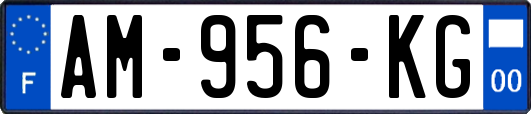 AM-956-KG