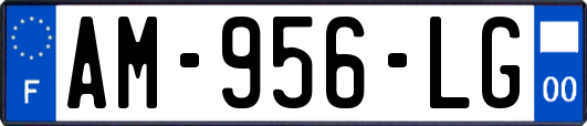 AM-956-LG