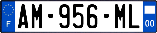AM-956-ML