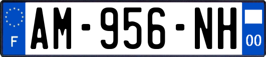 AM-956-NH