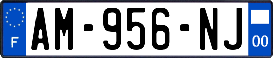 AM-956-NJ