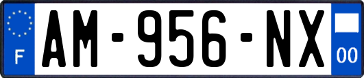 AM-956-NX