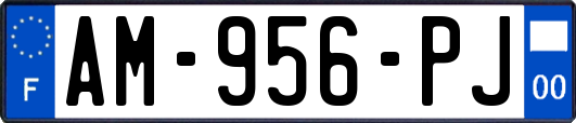 AM-956-PJ