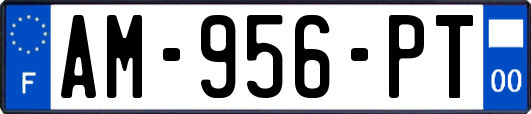 AM-956-PT