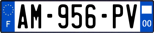 AM-956-PV