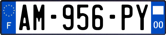 AM-956-PY