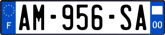 AM-956-SA