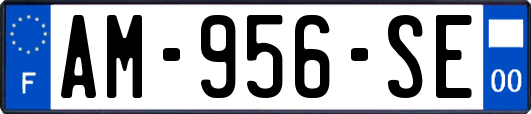 AM-956-SE