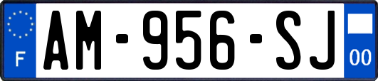 AM-956-SJ