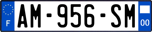 AM-956-SM