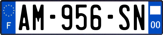 AM-956-SN