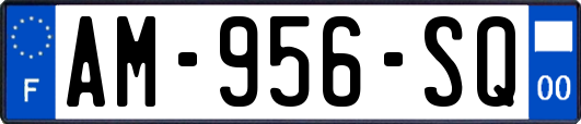 AM-956-SQ