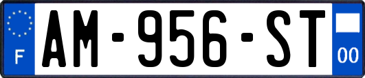 AM-956-ST