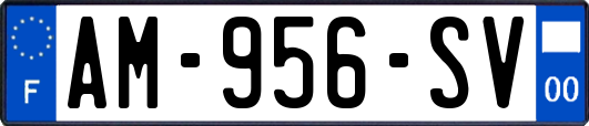 AM-956-SV