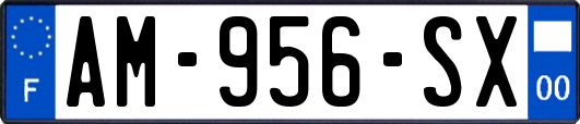 AM-956-SX