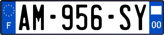AM-956-SY
