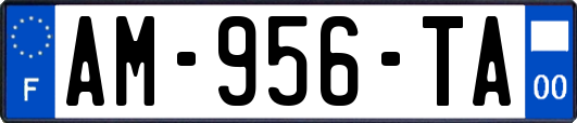 AM-956-TA
